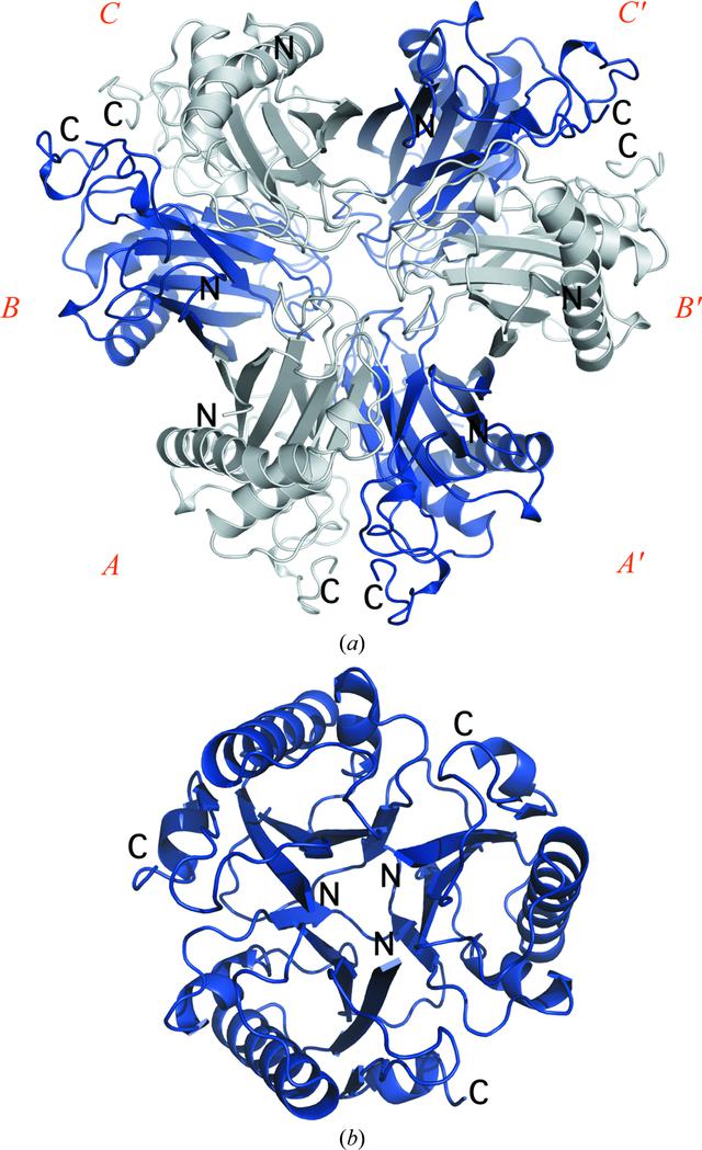 [Figure 3]