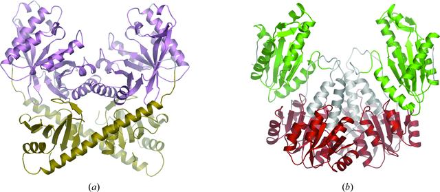 [Figure 1]