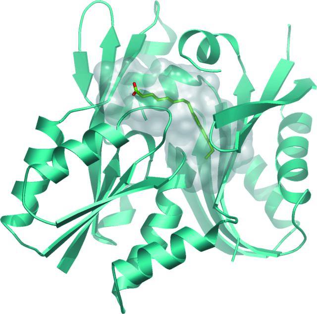 [Figure 4]