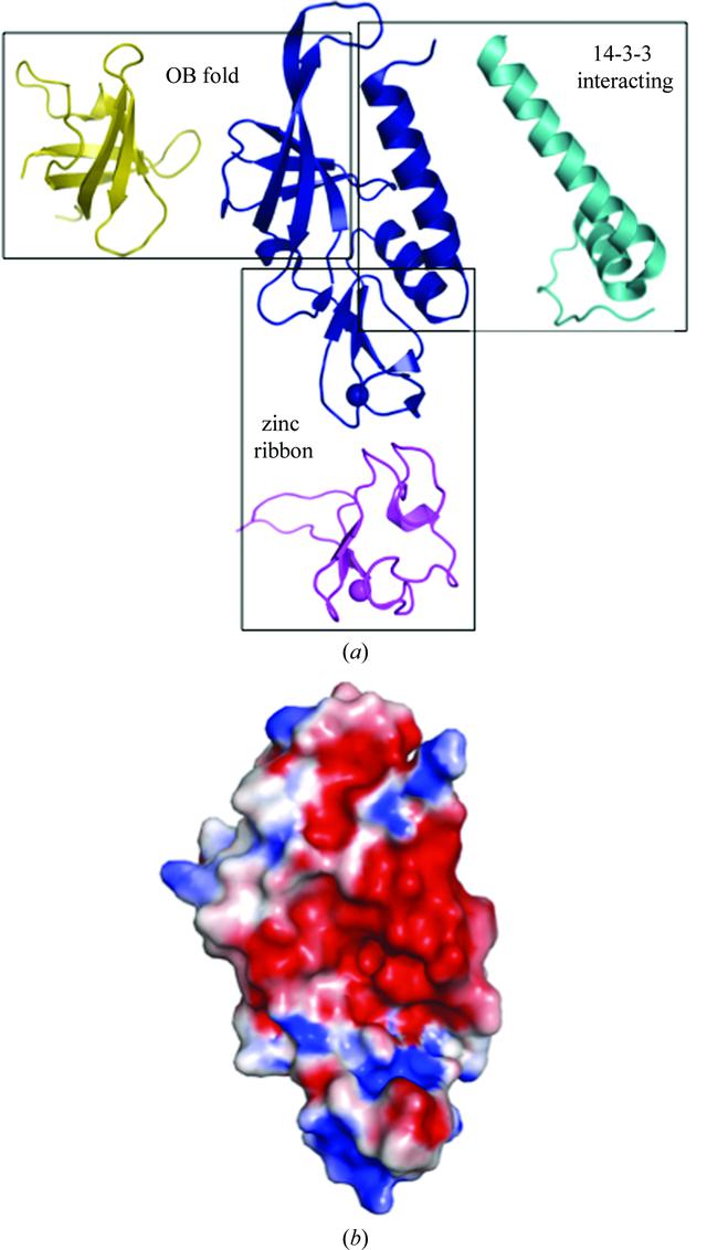 [Figure 2]