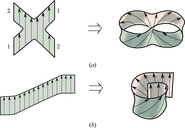 [Figure 2]