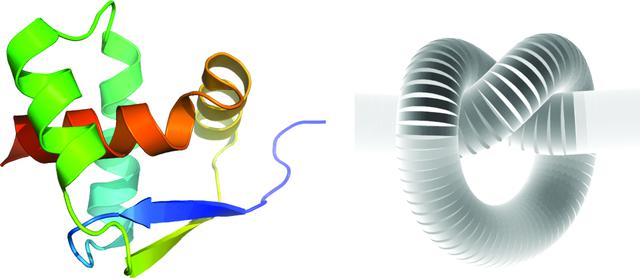 [Figure 3]