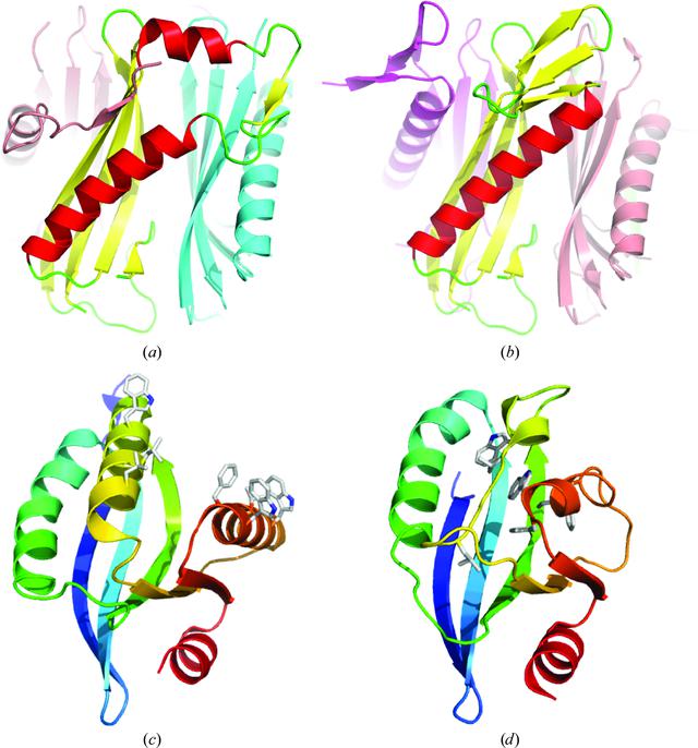 [Figure 7]