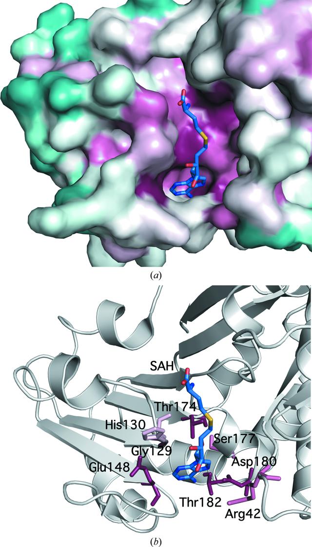 [Figure 3]
