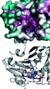 [Figure 3]