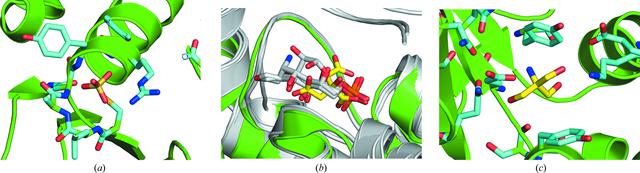 [Figure 5]