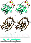 [Figure 1]