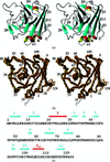 [Figure 2]