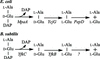 [Figure 1]