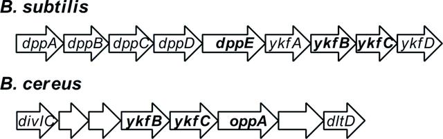 [Figure 2]