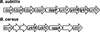 [Figure 2]