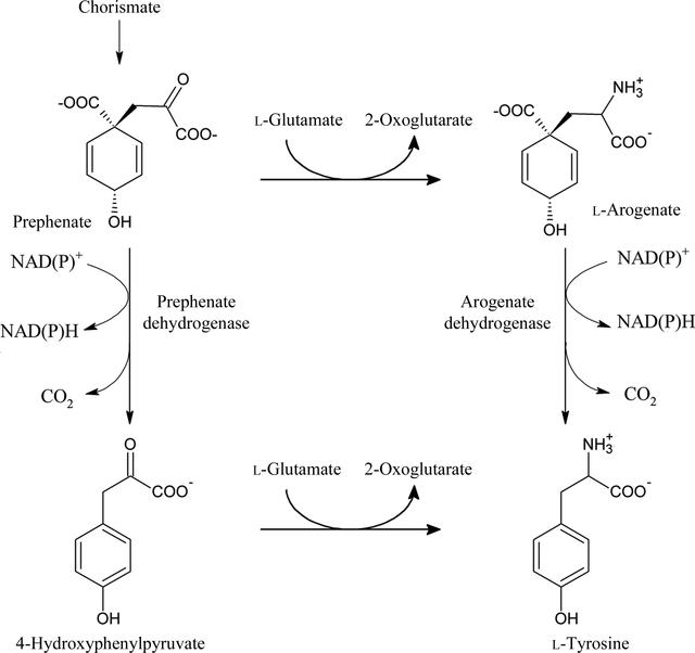 [Figure 1]