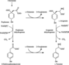 [Figure 1]