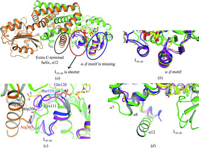[Figure 4]