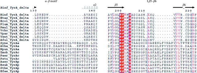 [Figure 5]