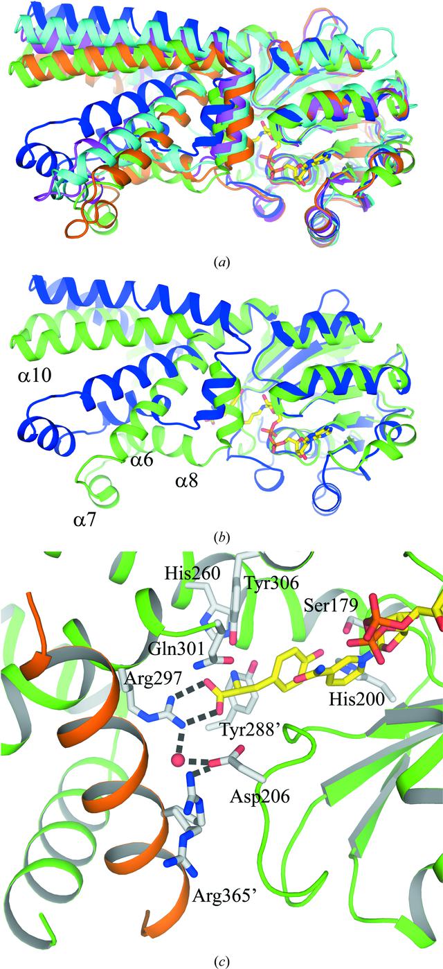 [Figure 6]