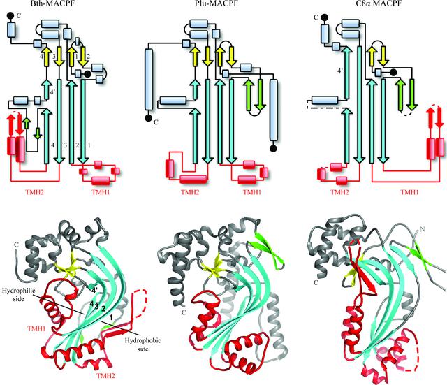 [Figure 5]