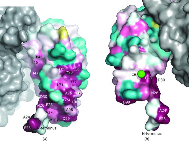 [Figure 3]