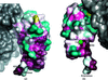 [Figure 3]