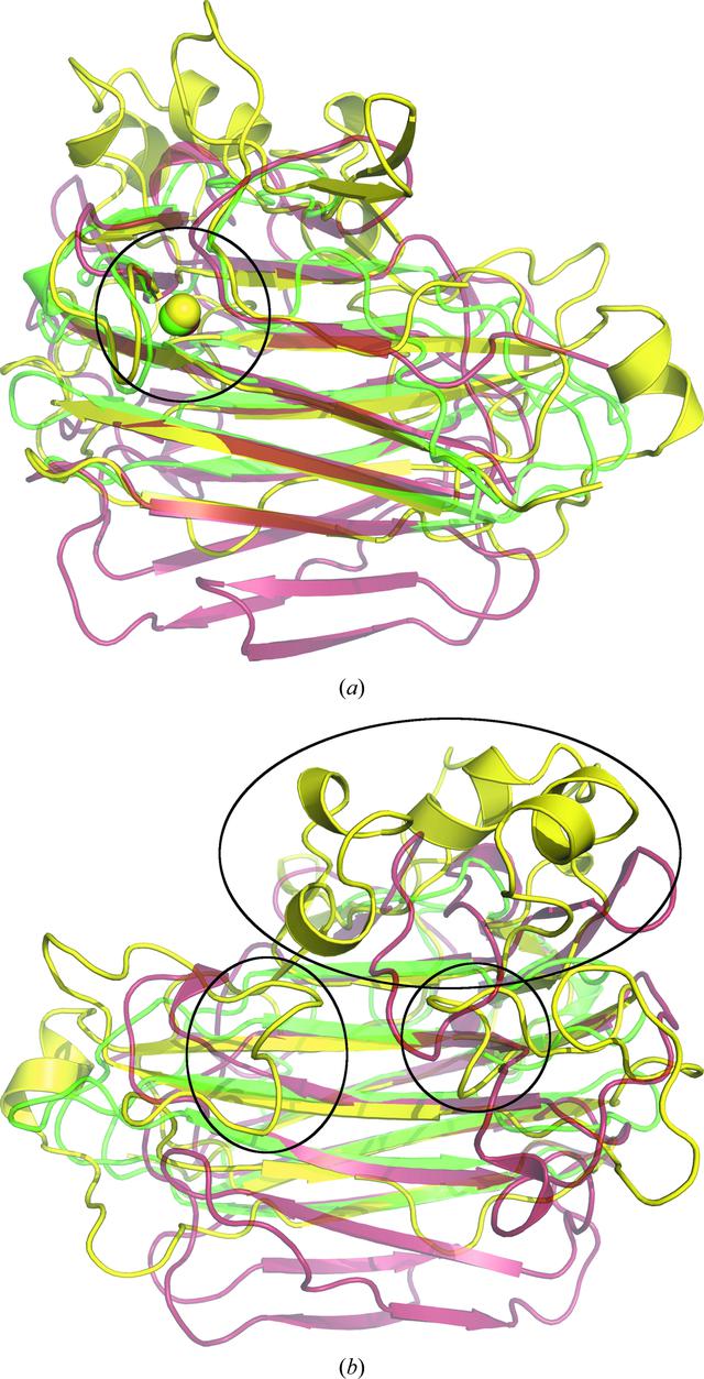 [Figure 4]