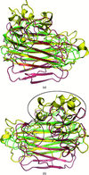 [Figure 4]