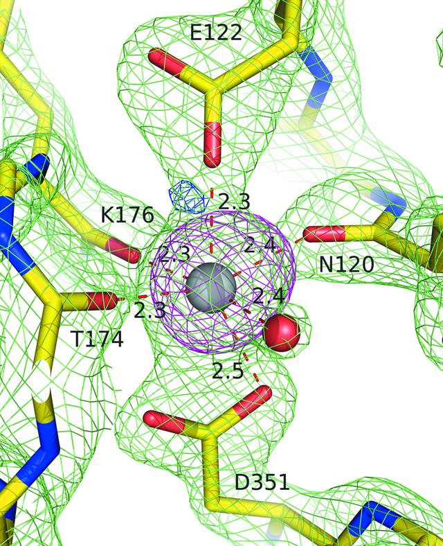 [Figure 5]