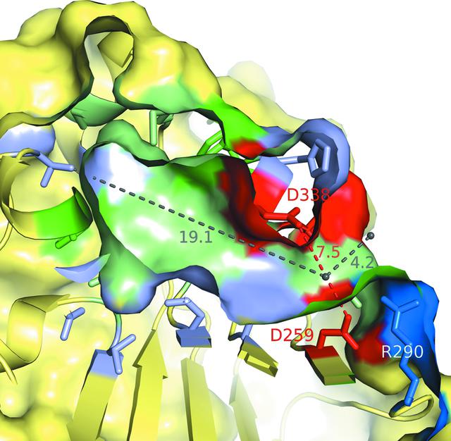 [Figure 7]