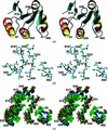 [Figure 11]
