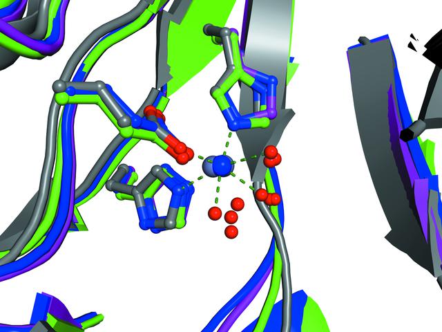 [Figure 1]