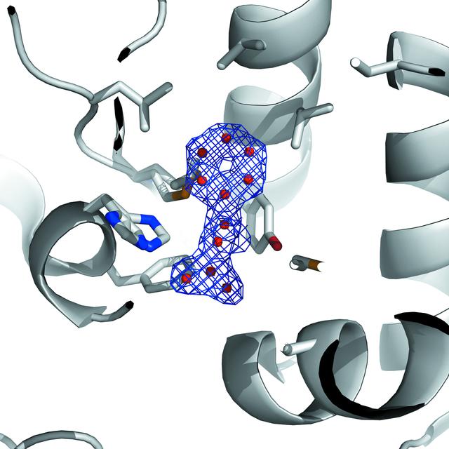 [Figure 2]