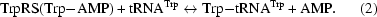 [{\rm TrpRS(Trp}{\--}{\rm AMP)} + {\rm tRNA^{Trp}} \leftrightarrow {\rm Trp}{\--}{\rm tRNA^{Trp}} + {\rm AMP}. \eqno (2)]