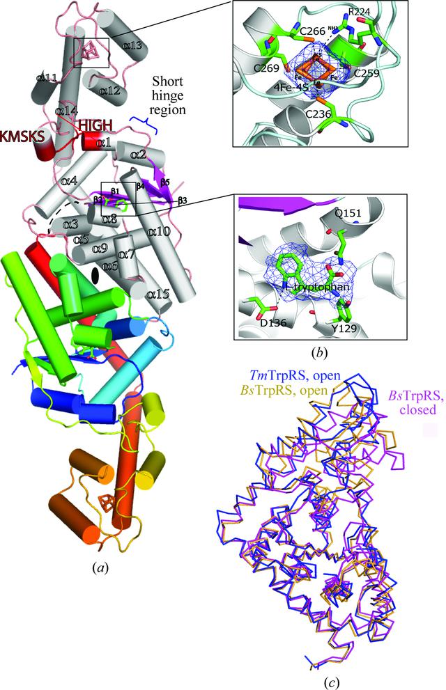 [Figure 1]
