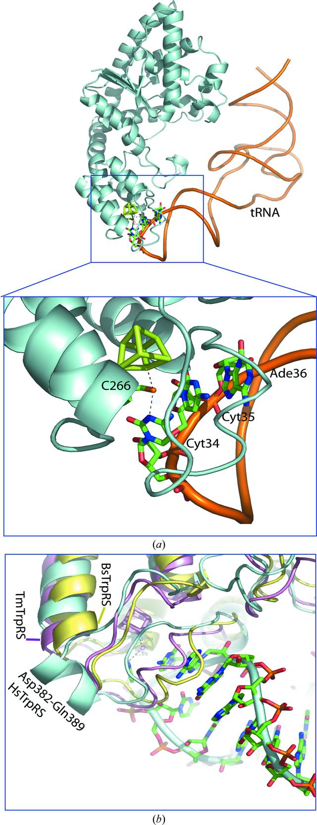 [Figure 3]
