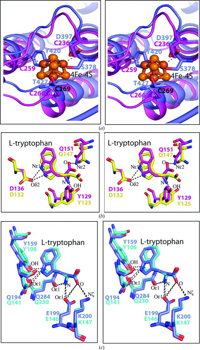 [Figure 4]