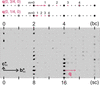 [Figure 4]
