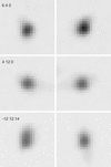 [Figure 5]