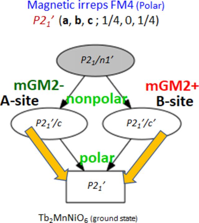 [Figure 6]