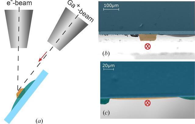 [Figure 1]