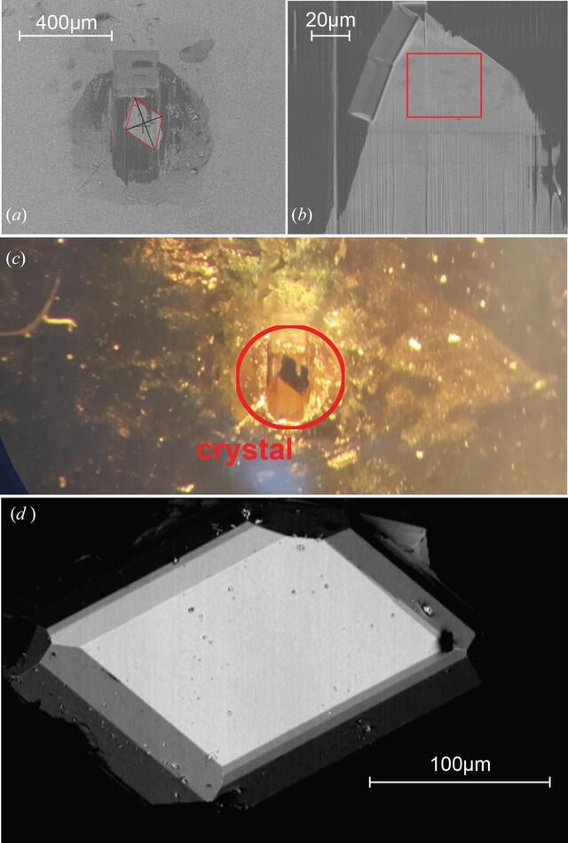[Figure 2]