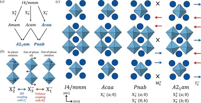 [Figure 1]