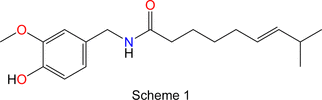 [Scheme 1]