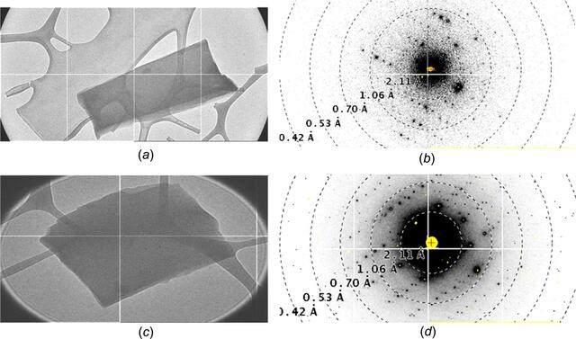 [Figure 1]