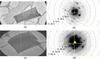 [Figure 1]