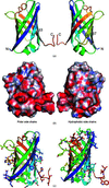 [Figure 1]
