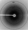 [Figure 3]