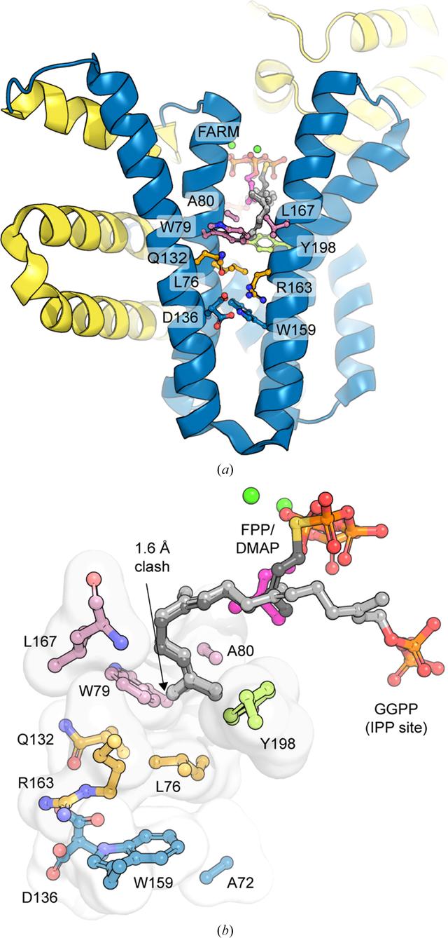 [Figure 3]