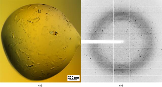 [Figure 2]