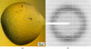 [Figure 2]