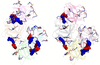 [Figure 6]