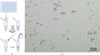 [Figure 7]